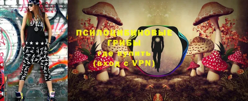 Галлюциногенные грибы Psilocybe  Белая Холуница 